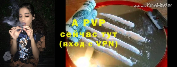 стафф Верхний Тагил