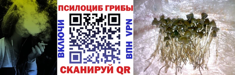 Галлюциногенные грибы мухоморы  Гаджиево 